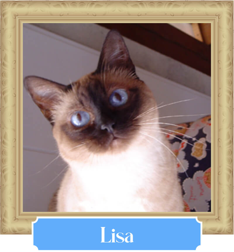 Lisa Allevamento Lo Zaffiro