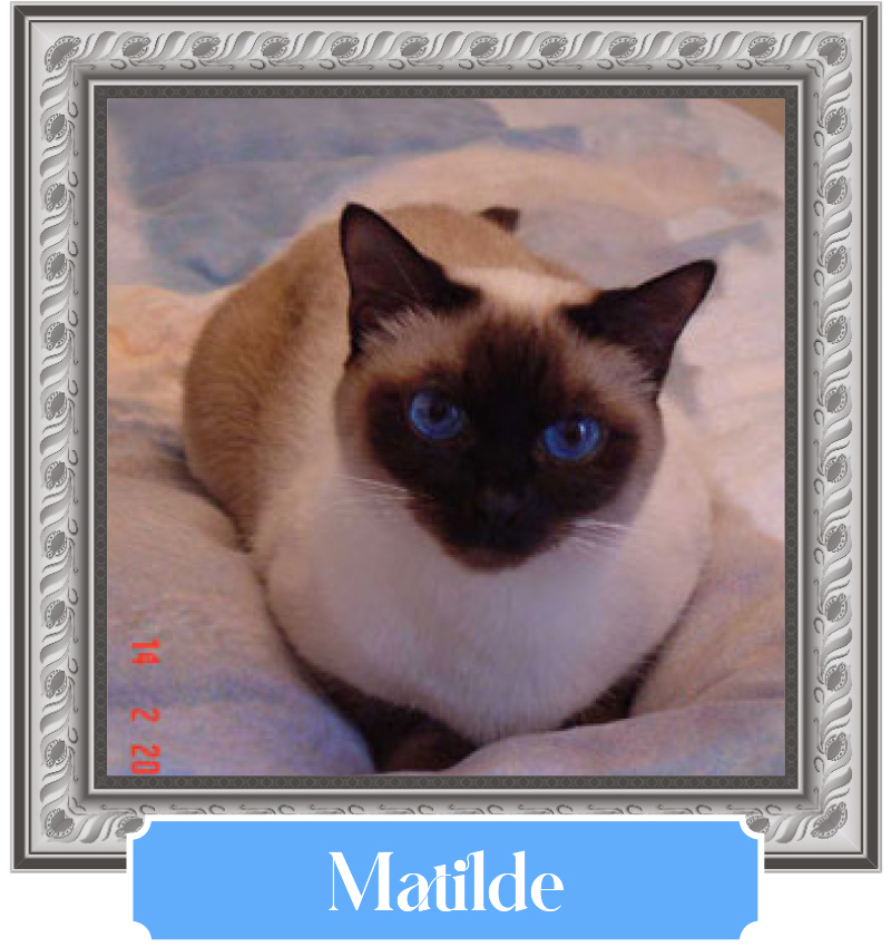 Matilde
