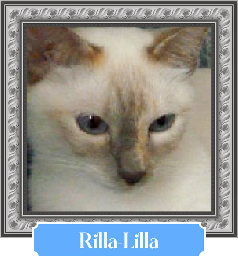 Rilla Lilla