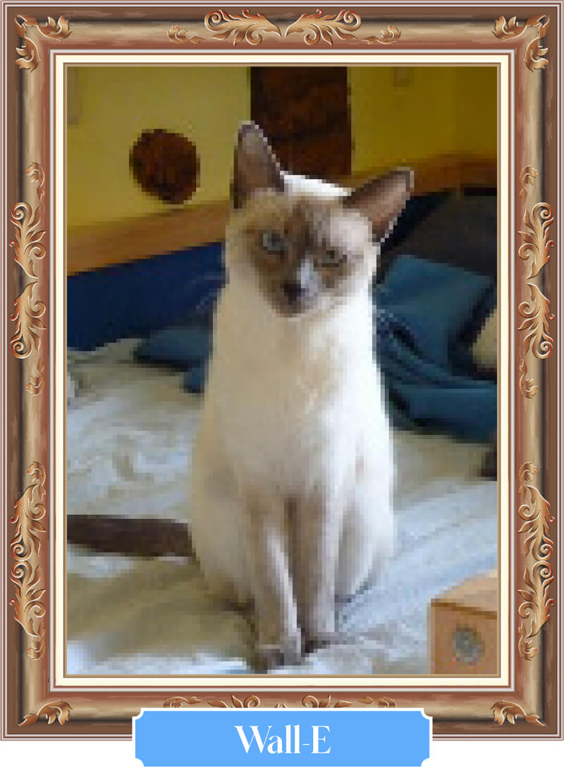 Wall e