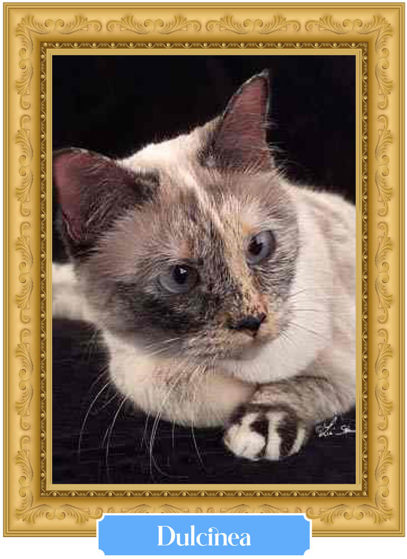 dulcinea