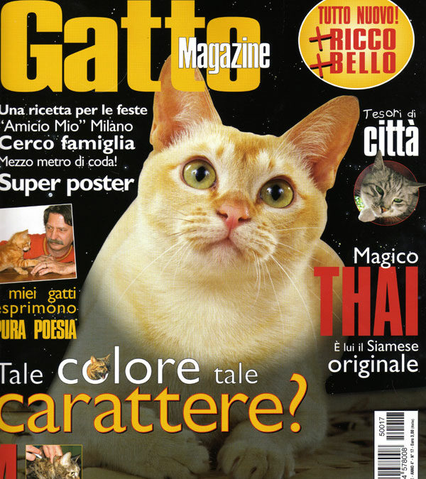 Gatto Magazine : n°17 Gennaio-Febbraio 2005